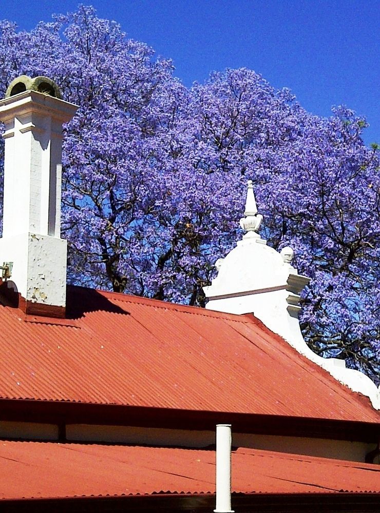Melvin Residence Guest House Pretoria Luaran gambar